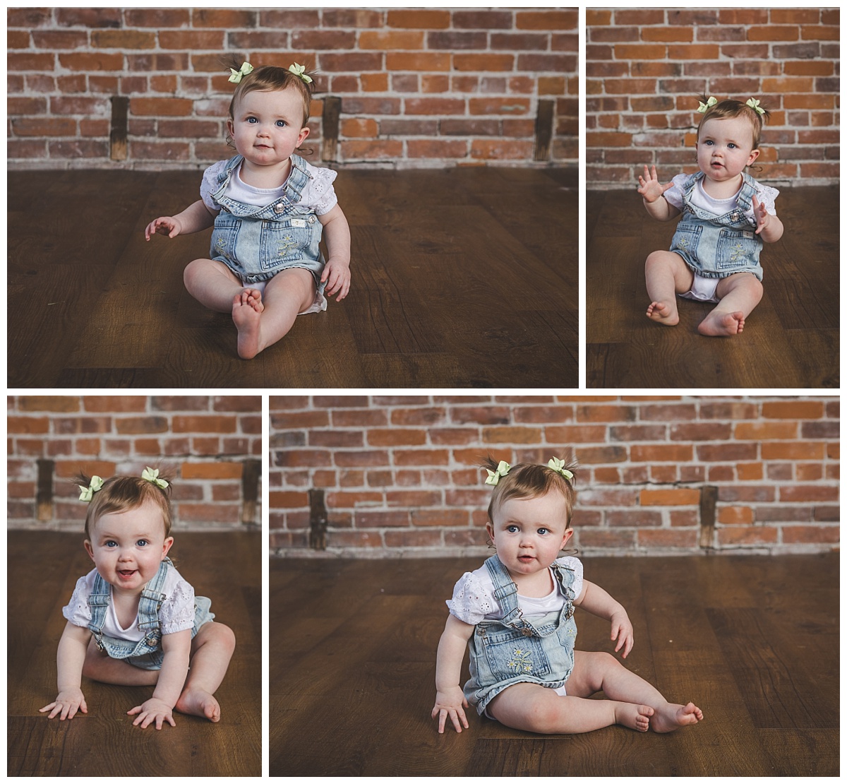 One year old shoot
